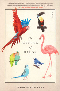 The Genius of Birds