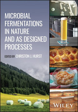 Microbial Fermentations in Nature and As Designed Processes
