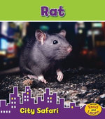 Rat