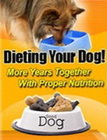 Dieting Your Dog
