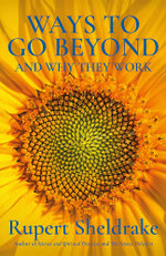 Ways To Go Beyond and Why They Work