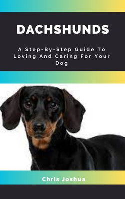 DACHSHUNDS