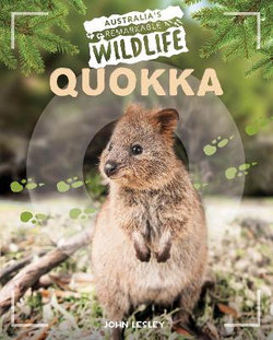 Quokka