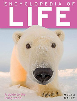 Encyclopedia of Life - 384 Page
