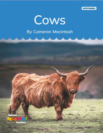 Cows
