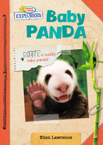 Baby Panda