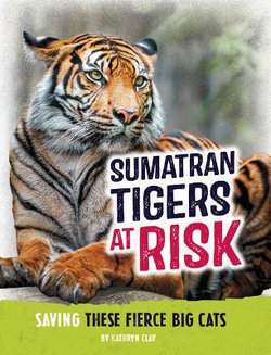 Animals at Risk Sumatran Tiger