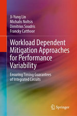 Workload Dependent Mitigation Approaches for Performance Variability