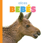 Alces Bebes