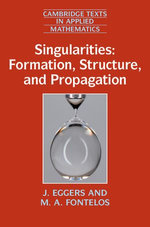 Singularities: Formation, Structure, and Propagation