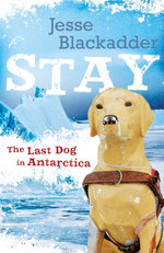 Stay: The Last Dog In Antarctica