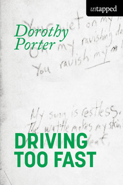 Driving Too Fast Driving Too Fast