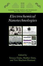 Electrochemical Nanotechnologies