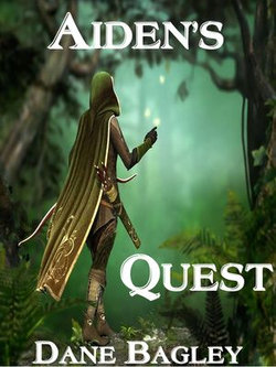 Aiden's Quest