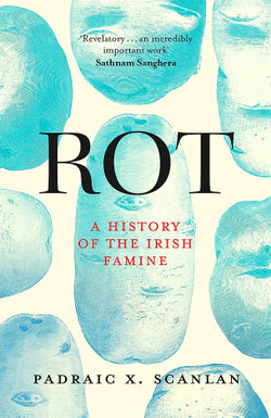 Rot