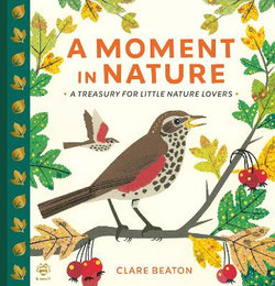 A Moment in Nature A Moment in Nature