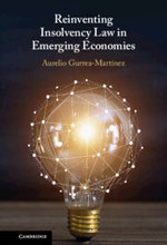 Reinventing Insolvency Law in Emerging Economies