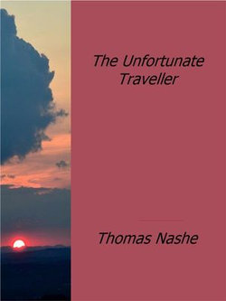 The Unfortunate Traveller