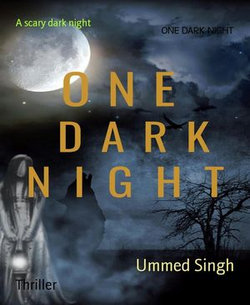 ONE DARK NIGHT