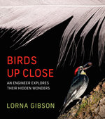 Birds Up Close