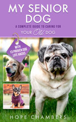 My Senior Dog My Senior Dog