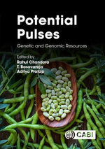 Potential Pulses Potential Pulses