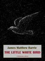 The Little White Bird