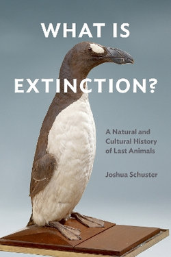 What Is Extinction? What Is Extinction?
