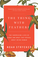 The Thing with Feathers