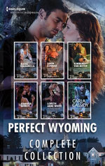 Perfect Wyoming Complete Collection/Special Agent's Perfect Cover/Rancher's Perfect Baby Rescue/A Daughter's Perfect Secret/Lawman's