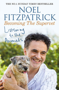 Listening to the Animals