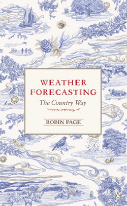 Weather Forecasting