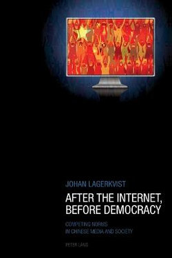 After the Internet, Before Democracy