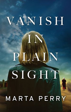 Vanish In Plain Sight