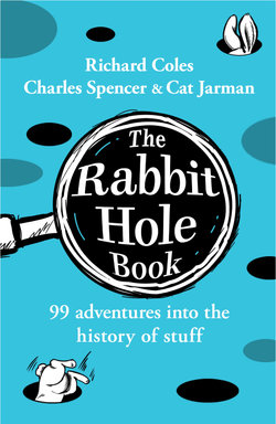 The Rabbit Hole Book The Rabbit Hole Book