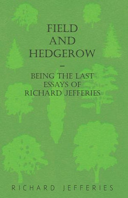 Field and Hedgerow - Being the Last Essays of Richard Jefferies