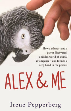 Alex & Me