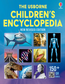 The Usborne Children's Encyclopedia The Usborne Children's Encyclopedia
