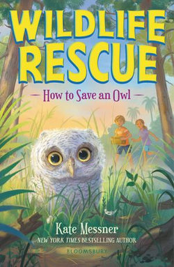 How to Save an Owl