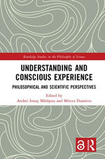 Understanding and Conscious Experience