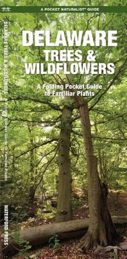 Delaware Trees and Wildflowers