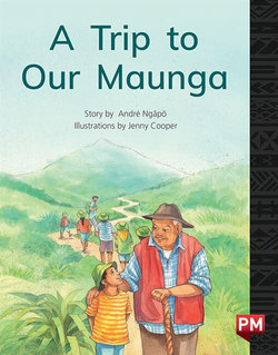 A Trip to Our Maunga