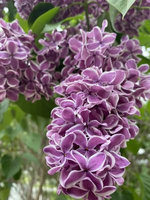 Moving Through Life with Tenacity