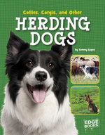 Collies, Corgies, and Other Herding Dogs