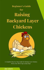 Beginner’s Guide for Raising Backyard Layer Chickens