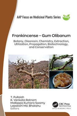 Frankincense – Gum Olibanum Frankincense – Gum Olibanum