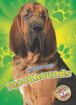 Bloodhounds