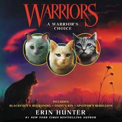 Warriors: a Warrior's Choice