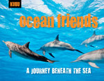 Ocean Friends