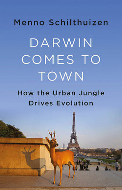 Darwin Comes To Town
